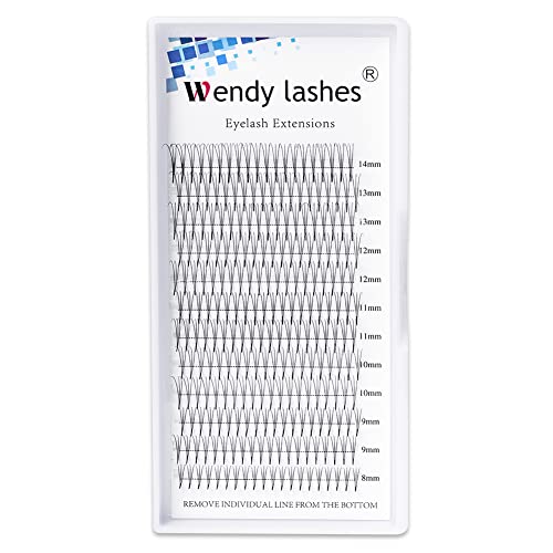 Volume Lash Extensions 3D 5D Premade Fans Eyelash Extensions 0.07mm Thickness C/D Curl 8-14mm Short Stem Premade Volume Eyelash Extensions Pointed Base Fans(3D-0.07-C, 8-14mm Mixed Tray)
