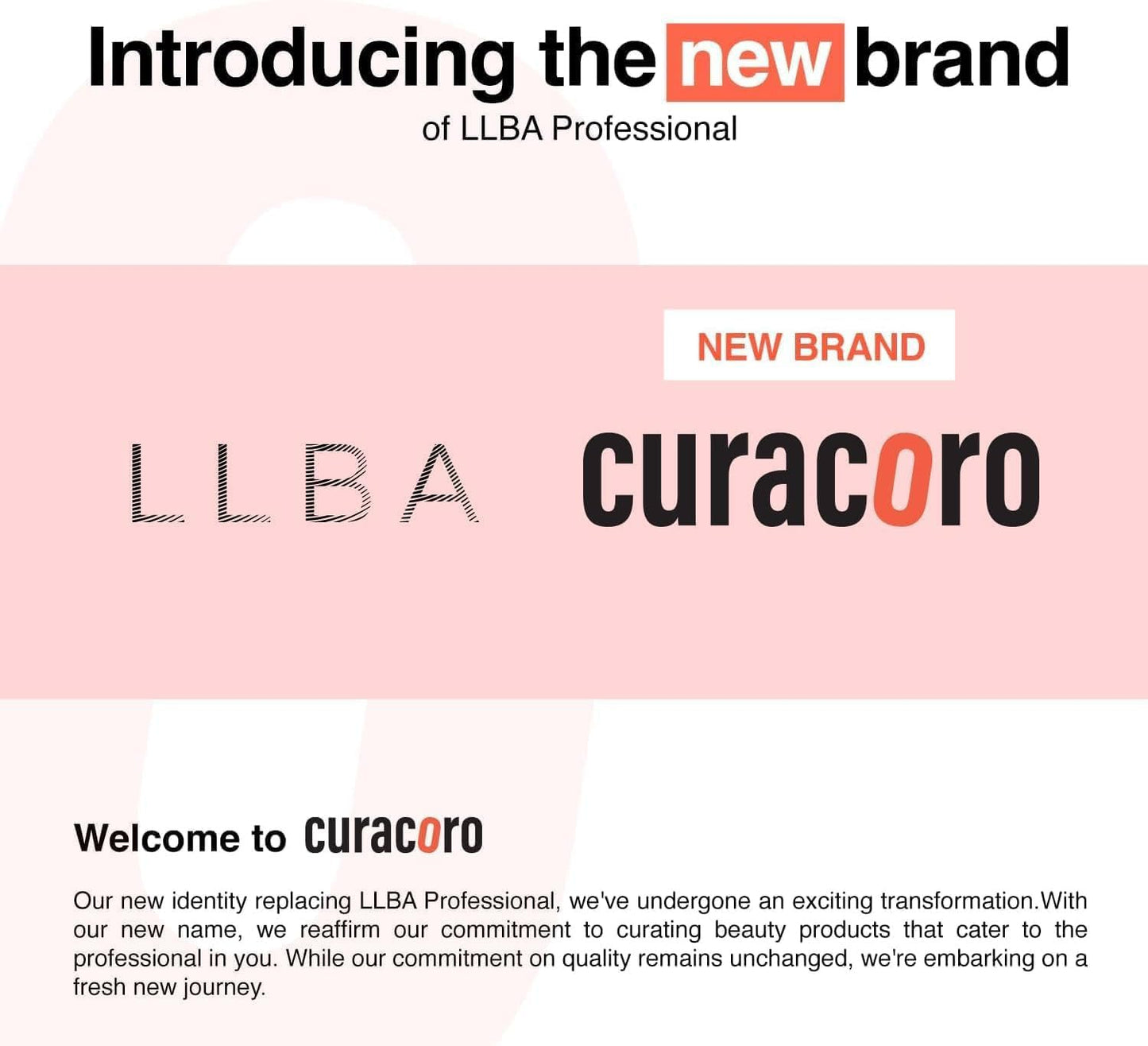 LLBA Promade Mix 750 Fans | Handmade Volume Eyelashes | Multi Selections From 5D To 12D | C CC D Curl | Thickness 0.03~0.1 mm | 9-18mm Length | Long Lasting | Easy Application 10D-0.03 C 11-12-13mm