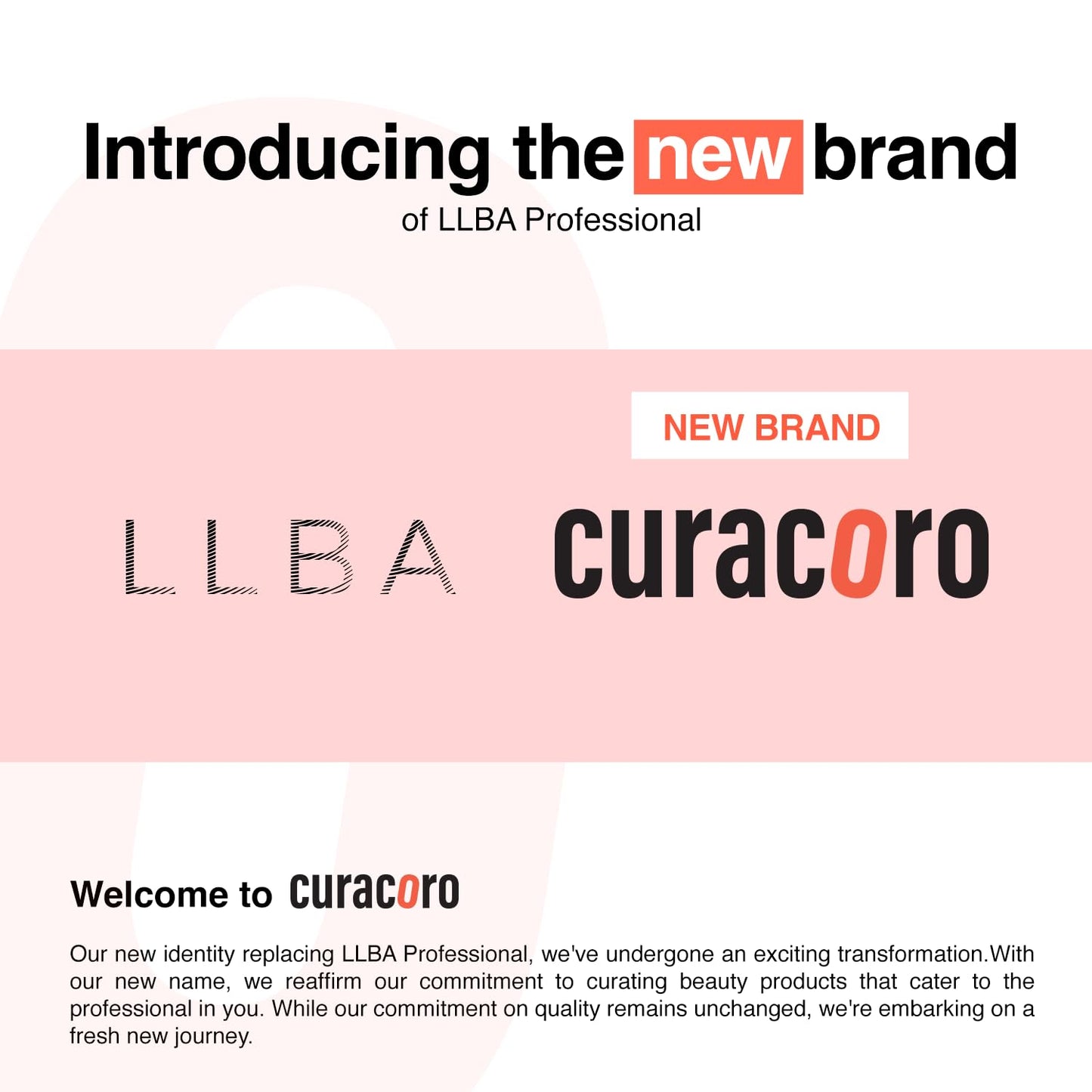 Curacoro Promade 500 Fans - 3D to 16D Handmade Volume Lash Fans, C CC D DD L M Curls, Thickness 0.03~0.1mm, 8–20mm Length, Long-Lasting Eyelash Extension Fans (10D-0.03 D, 10mm)