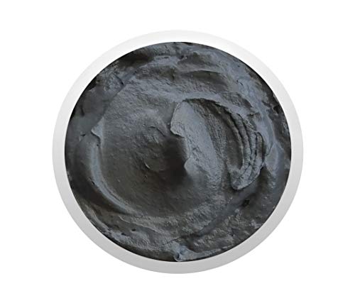 Raya Hydro-Magnetic Mud Masque (677) | Nourishing Facial Treatment Mask for Dry Skin | Magnetic Minerals Help Refine Pores and Improve Complexion