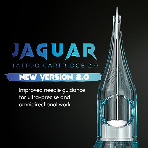 20pcs Tattoo Cartridge Needles- Tattoo Needles Cartridges Sterilized with Membrane Mixed Sizes-Upgraded 2.0 Casing Design- Durable Tattoo Needles for Tattooing - Round Liner (1001RL)