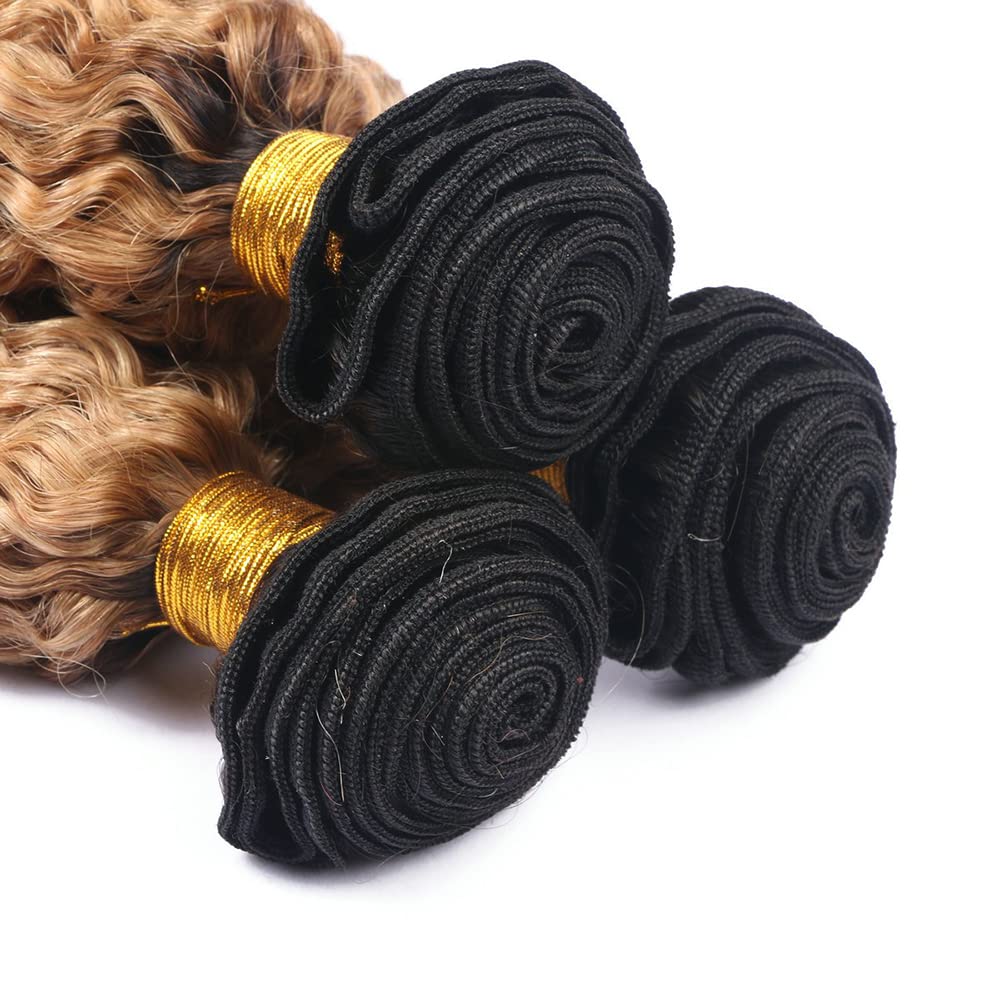 26 28 30 Inch Blonde Deep Wave Bundles Ombre Human Hair Bundles 2 Tone Black and Honey Blonde Bundle Peruvian Grade 8A Virgin Hair Extensions 1B/27 Deep Wave Hair Weave