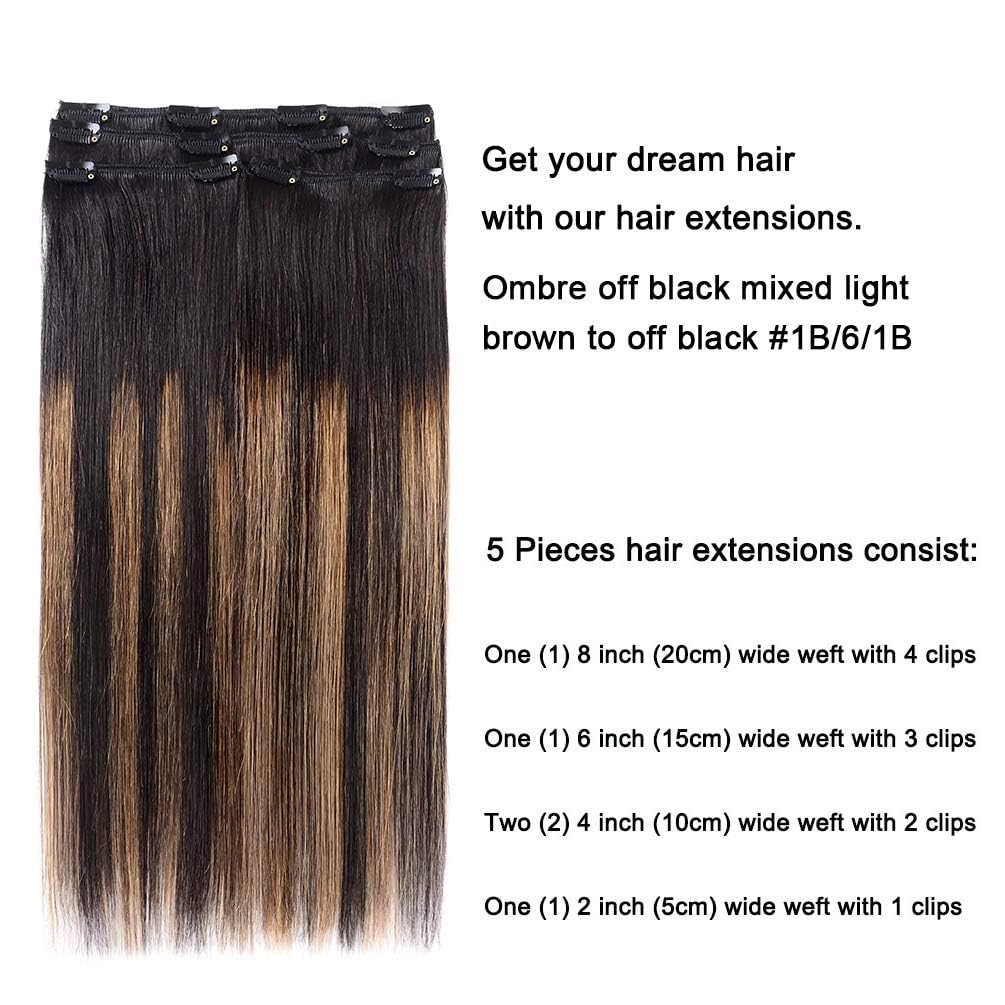 5 Pieces 14" Remy Clip in Hair Extensions Human Hair Natural Black to Chestnut Brown Highlight Black Ombre - Silky Straight Short Thick Real Hair Extensions for Women (14 inches, #(1BT6) P1B, 70grams)