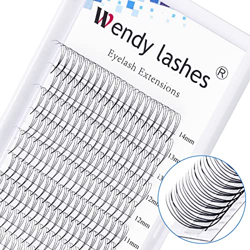 Volume Lash Extensions 3D 5D Premade Fans Eyelash Extensions 0.07mm Thickness C/D Curl 8-14mm Short Stem Premade Volume Eyelash Extensions Pointed Base Fans(3D-0.07-C, 8-14mm Mixed Tray)