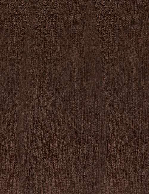 Outre X-Pression Braid Pre Stretched Braid 42" 3X (5 Pack, MEDIUM BROWN 4)