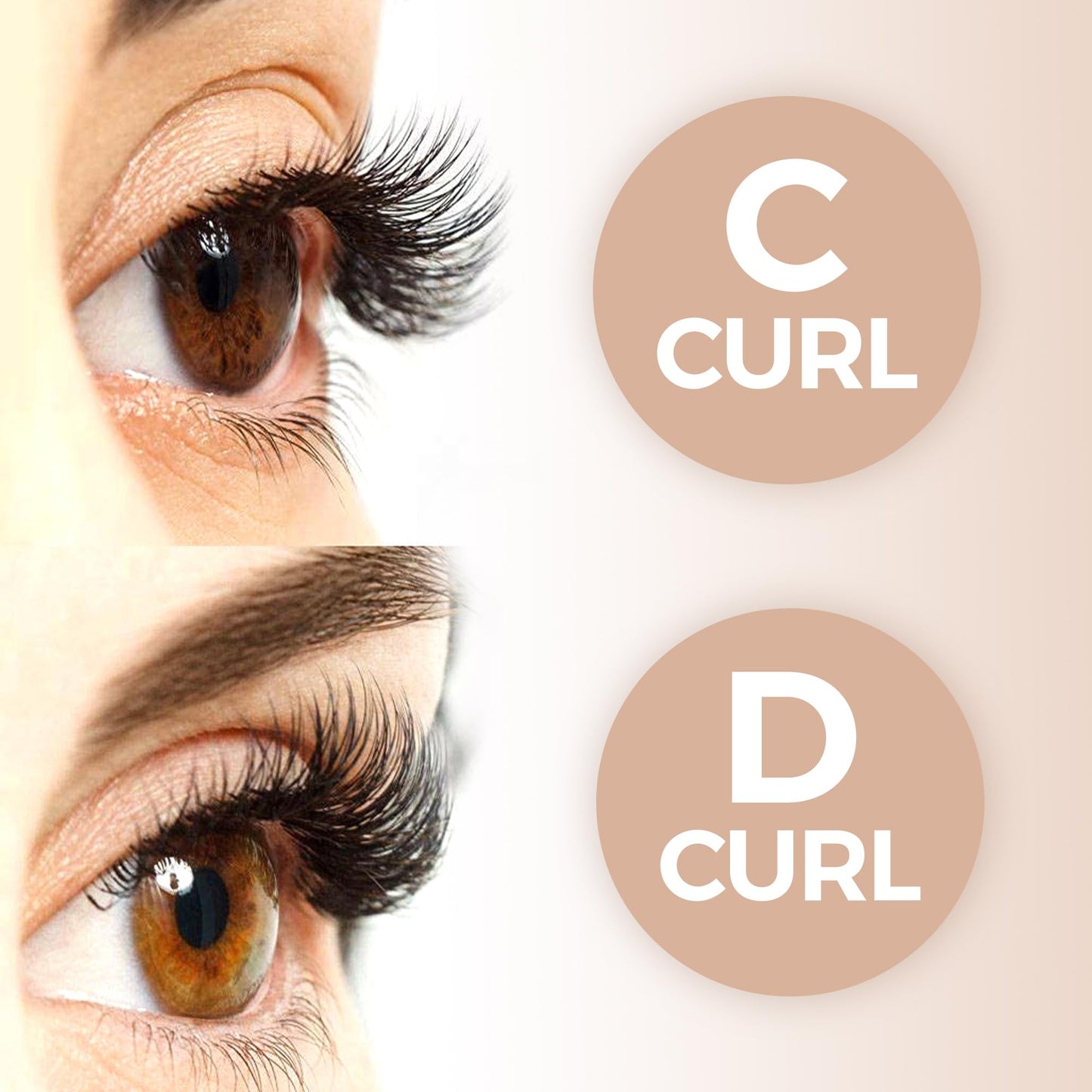 LASHVIEW 600 Fans Premade Lash Fans,10D D Curl Thickness 0.05 Premade Fans Eyelash Extensions 8-15 mm Mixed Length Promades Eyelash Fans Professional Pre Made Lash Fans (10D-0.05-D 8-15mm)