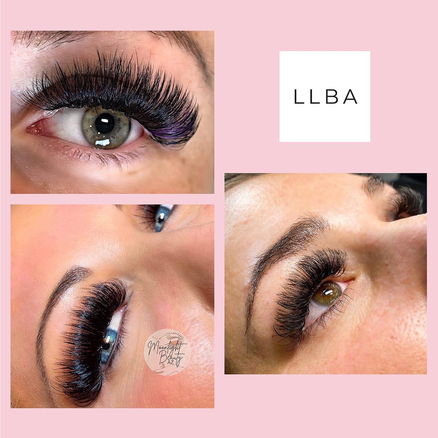 LLBA Promade Fans | Handmade Volume Eyelashes | Multi Selections From 3D To 16D | C CC D DD L M Curl | Thickness 0.03 ~ 0.1 mm | 8 - 20mm Length | Long Lasting | Easy Application (10D-0.03 D 8 mm)