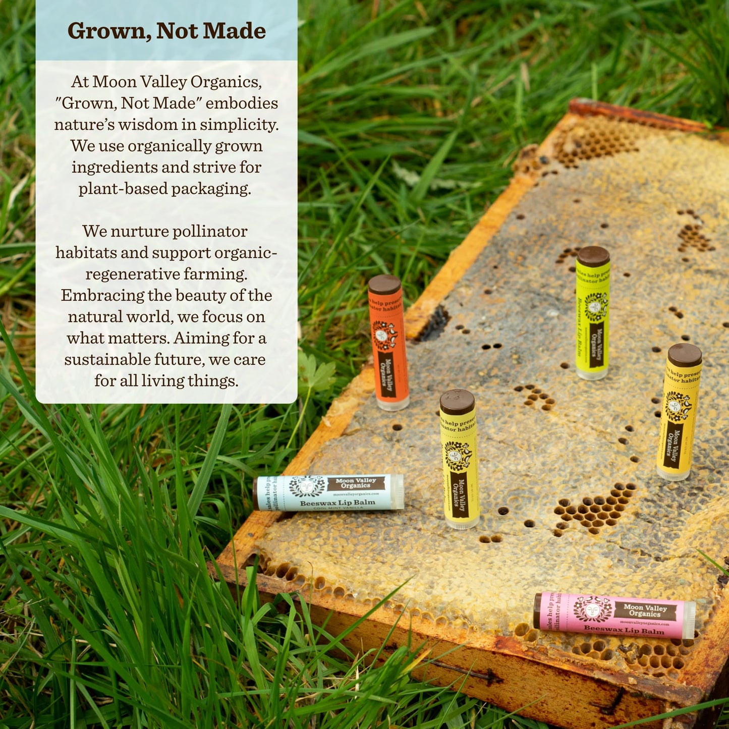 Moon Valley Organics Beeswax Lip Balm for Moisturizing Lips and Cuticles (COOL MINT VANILLA, 6-Pack)